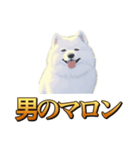 犬味 秋だもの（個別スタンプ：28）