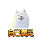 犬味 秋だもの（個別スタンプ：31）