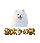 犬味 秋だもの（個別スタンプ：33）