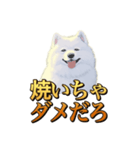 犬味 秋だもの（個別スタンプ：35）