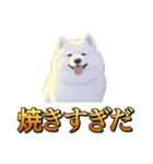 犬味 秋だもの（個別スタンプ：36）