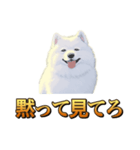 犬味 秋だもの（個別スタンプ：37）