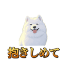 犬味 秋だもの（個別スタンプ：38）