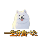 犬味 秋だもの（個別スタンプ：39）