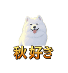犬味 秋だもの（個別スタンプ：40）