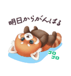 毎日使える レッサーパンダ 日常（個別スタンプ：11）