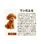 毎日使える♡ダジャレ(説明文付き) #02（個別スタンプ：22）