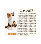 毎日使える♡ダジャレ(説明文付き) #02（個別スタンプ：30）
