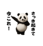 踊る！今これ界隈ジャイアントパンダ（個別スタンプ：1）