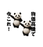 踊る！今これ界隈ジャイアントパンダ（個別スタンプ：10）