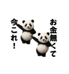 踊る！今これ界隈ジャイアントパンダ（個別スタンプ：12）