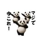 踊る！今これ界隈ジャイアントパンダ（個別スタンプ：24）