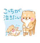子育てに疲れた❤️いやしばいぬ❤️柴犬（個別スタンプ：6）