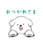 マルチーズ・ムンゲのほっこりスタンプ（個別スタンプ：3）