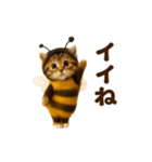 踊る！ミツバチにゃん（個別スタンプ：1）
