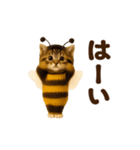 踊る！ミツバチにゃん（個別スタンプ：9）