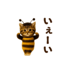 踊る！ミツバチにゃん（個別スタンプ：12）