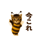 踊る！ミツバチにゃん（個別スタンプ：18）