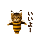 踊る！ミツバチにゃん（個別スタンプ：19）