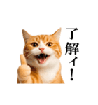 動く！リアル猫の日常4（個別スタンプ：3）
