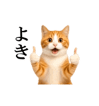 動く！リアル猫の日常4（個別スタンプ：4）