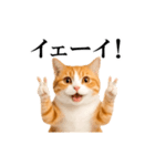 動く！リアル猫の日常4（個別スタンプ：9）
