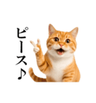 動く！リアル猫の日常4（個別スタンプ：10）