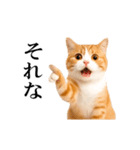 動く！リアル猫の日常4（個別スタンプ：16）