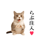 動く！リアル猫の日常4（個別スタンプ：18）