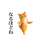動く！リアル猫の日常4（個別スタンプ：23）