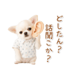ネガティブな癒し白チワワ（個別スタンプ：16）