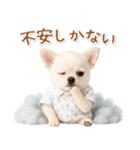 ネガティブな癒し白チワワ（個別スタンプ：24）