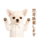 ネガティブな癒し白チワワ（個別スタンプ：35）