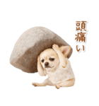 ネガティブな癒し白チワワ（個別スタンプ：38）