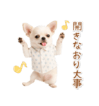 ネガティブな癒し白チワワ（個別スタンプ：40）