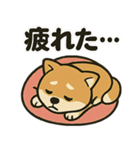 お疲れ豆しば 頑張って！（個別スタンプ：3）