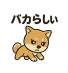 お疲れ豆しば 頑張って！（個別スタンプ：5）
