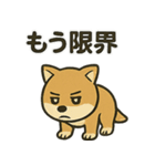 お疲れ豆しば 頑張って！（個別スタンプ：8）