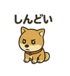 お疲れ豆しば 頑張って！（個別スタンプ：21）