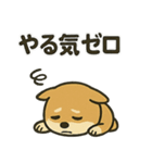 お疲れ豆しば 頑張って！（個別スタンプ：24）