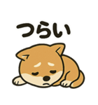 お疲れ豆しば 頑張って！（個別スタンプ：26）