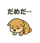 お疲れ豆しば 頑張って！（個別スタンプ：31）