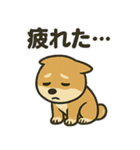 お疲れ豆しば 頑張って！（個別スタンプ：36）
