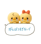 ぴよぴよ夫婦◎ぬいぐるみ②（個別スタンプ：6）