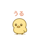 主張しすぎない！ひよこ 83（個別スタンプ：3）