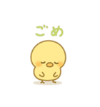 主張しすぎない！ひよこ 83（個別スタンプ：13）
