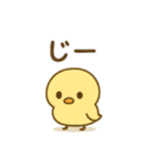 主張しすぎない！ひよこ 83（個別スタンプ：14）