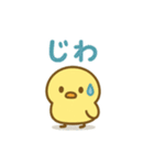 主張しすぎない！ひよこ 83（個別スタンプ：16）