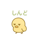 主張しすぎない！ひよこ 83（個別スタンプ：17）