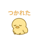 主張しすぎない！ひよこ 83（個別スタンプ：21）
